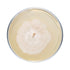 Wine Cap Mushroom Plate Culture